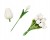 65c6997324176da7dc4f0dd360c22f6d